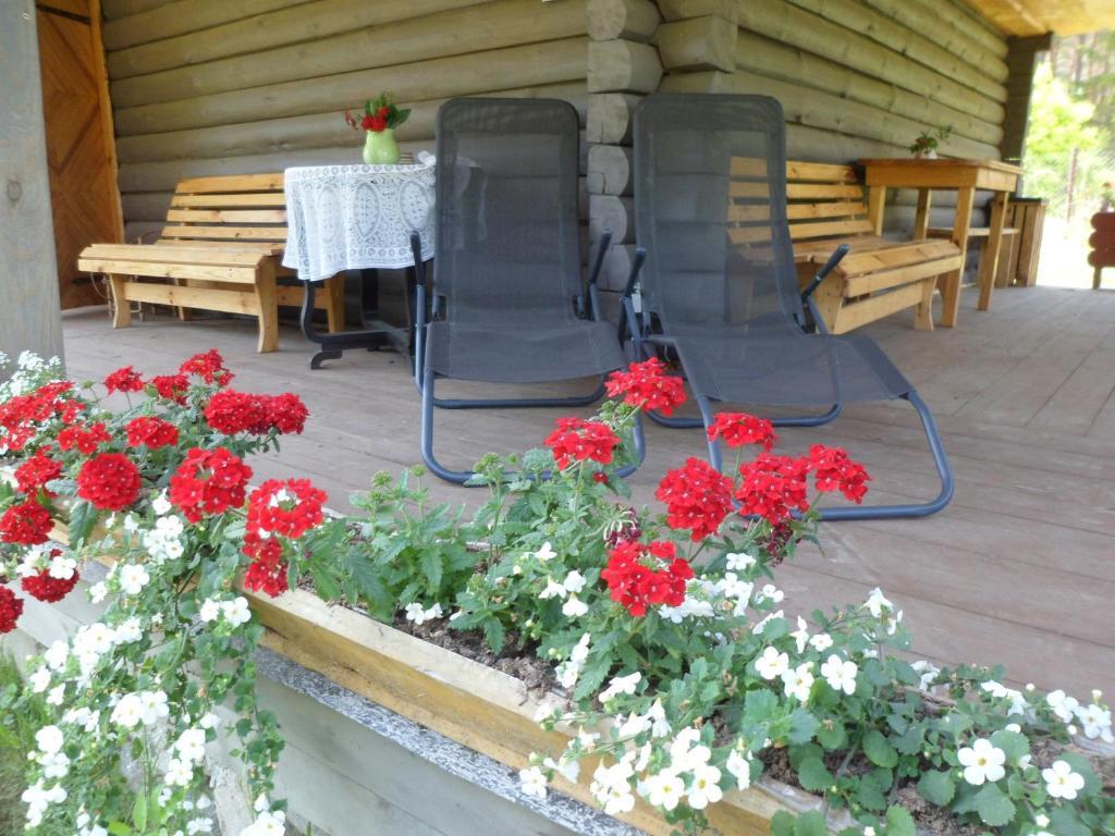 Guest House Ziedkalni Dūmele Exterior foto